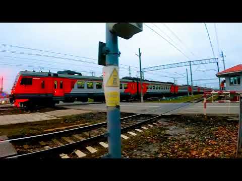 «Пожилой прямо перед поездом» ЭД4М-0406 прибывает на ст. Царское Село