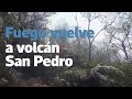 Más de 500 héctareas se han consumido a causa de incendios forestales en Sololá | Prensa Libre