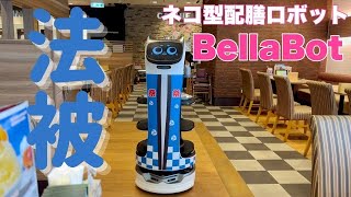 【ガスト BellaBot】夏バージョンのハッピを着たベラちゃんに会いに行きました