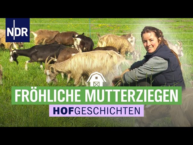 Jetzt kommt der Frühling: mit den Ziegen auf der Weide  | Hofgeschichten: Leben auf dem Land (278)