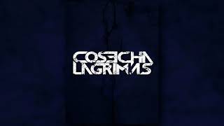 Cosecha Lagrimas - Dîs [Argentina] [HD]