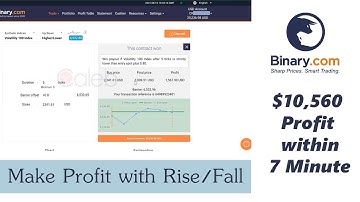 Binary.com Powerful RISE/FALL Strategy (Vol.01) - $10,560 Profit