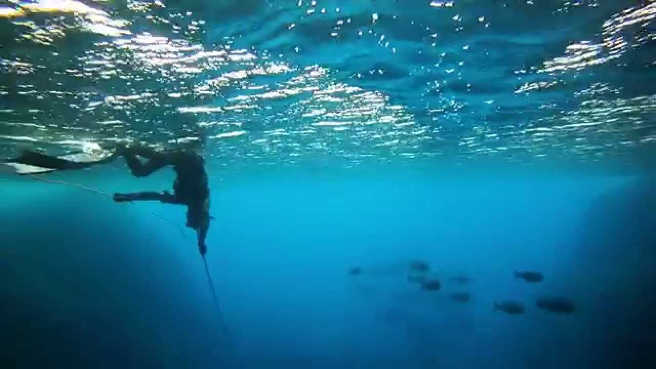 Belt reel line hookup to polespear? -  - The World's Largest  Spearfishing Diving Boating Social Media Forum