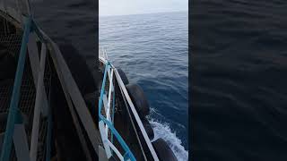 #tuglife  #offshore  #towlife