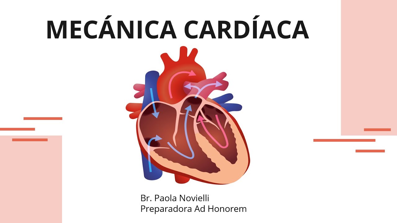 MECÁNICA CARDÍACA - PREPARADORA PAOLA NOVIELLI