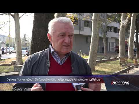 \"ქვეყანა მარწუხებშია მოქცეული\"  პრეზიდენტობის კანდიდატი თემურ შაშიაშვილი