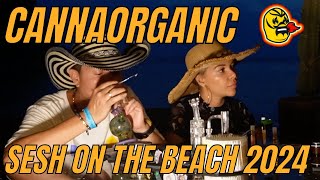 Hot Dabs W/ CannaOrganic at Sesh on the Beach - Santa Marta, Colombia