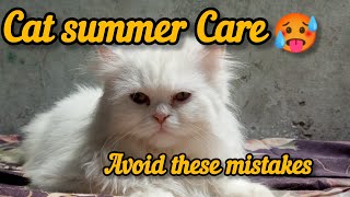Cat care in Summer🥵 || How to keep cats cool in Summer || Hot weather cat care tips|| Cat's care