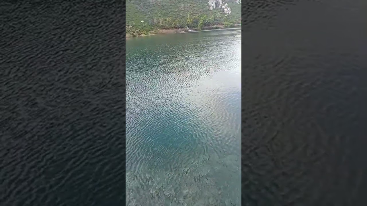πάμε βόλτα για ψάρεμα καλημέρα