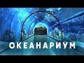 ОКЕАНАРИУМ, КИЕВ | Oceanarium, Kyiv, Ukraine