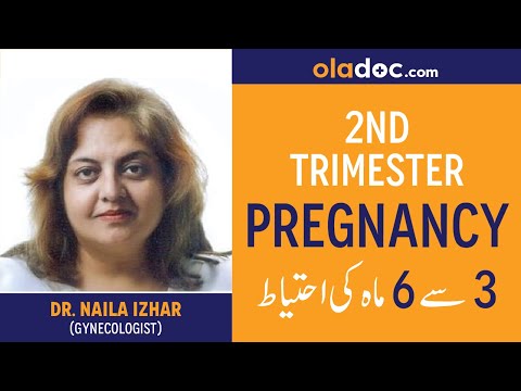 Pregnancy Tips For 2nd Trimester Urdu Hindi - Hamal Ke 3 se 6 Mah Ehtyat - Pregnancy Week by Week thumbnail image
