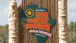 Lion Country Safari, IMPress Mag 5 Stars by Leonard Rapoport 336 views 7 years ago 9 minutes, 38 seconds