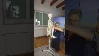 В чём польза глубокого приседа, объяснение 75 летнего тренера 50+#спорт