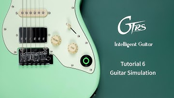 06 Guitar Simulation