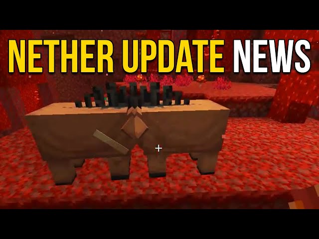 Minecraft 1.16 News : Nether Update! Piglin Beasts, Soulsand Valley &  Netherwart Forests 
