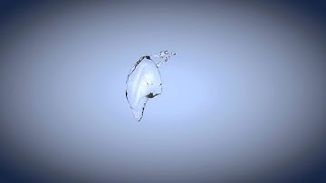 RealFlow Attractor Test 1