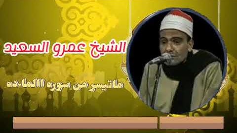الشيخ عمرو السعيد القارئ بجمهورية مصر العربية ما تيسر من سوره المائده 🎤🎧 تلاوه تلمس القلوب