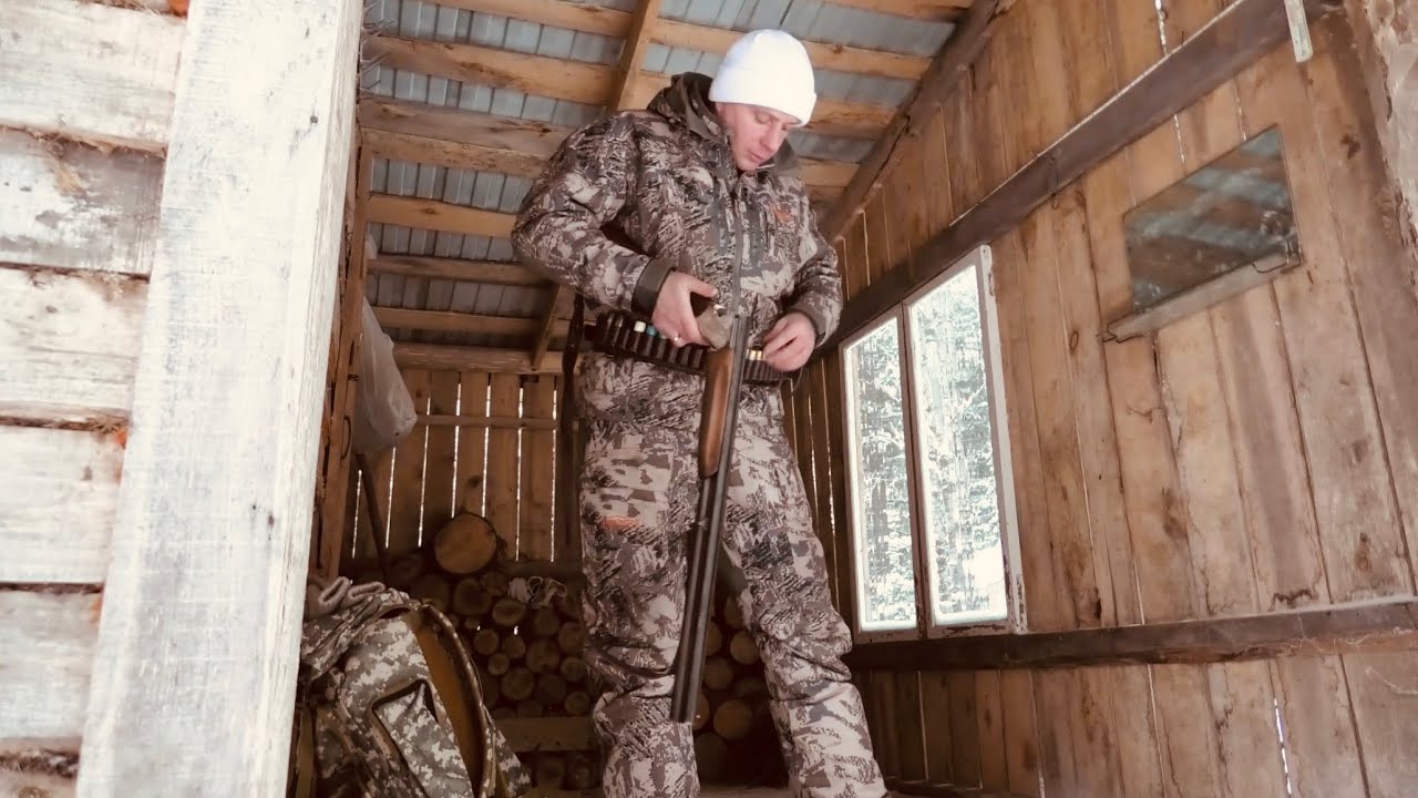 ЖИВЕМ В ИЗБЕ. ЭТО ЧТО ЗА ПАТРОНОНЫ???  ЛОВУШКИ РАССТАВЛЕНЫ.