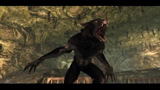 Animal Transformation in Video Games Compilation [HD]
