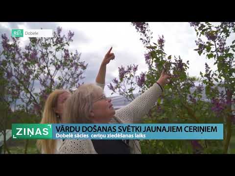 Video: Vai ir vārda kulminācija?