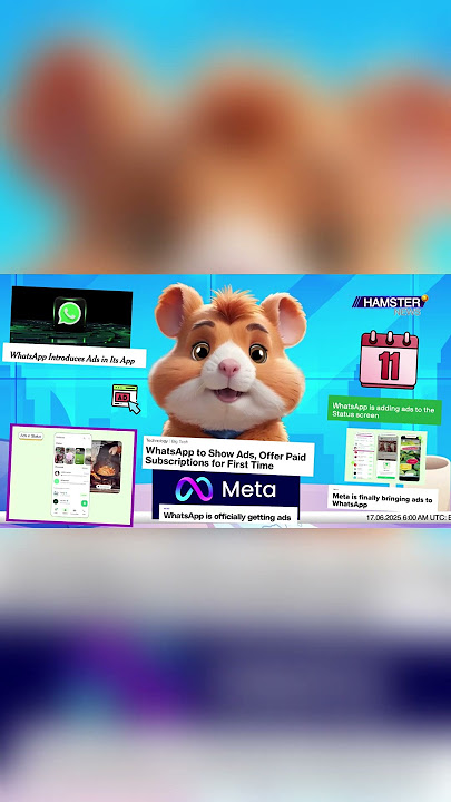 Meta introduces Ads on WhatsApp after 11 years ⚡️ Hamster News