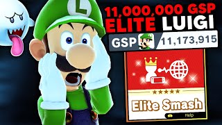 This is what an 11,000,000 GSP Luigi looks like in Elite Smash
