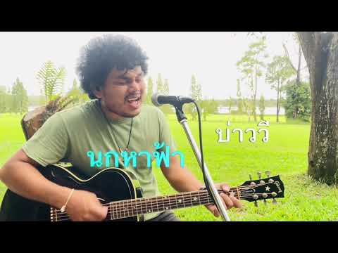 นกหาฟ้า บ่าววี อาร์สยาม (กฤษ เสือสองเล Cover)