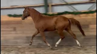 2d04dbf3 bbd7 4df8 9bc0 e8265f4ad299