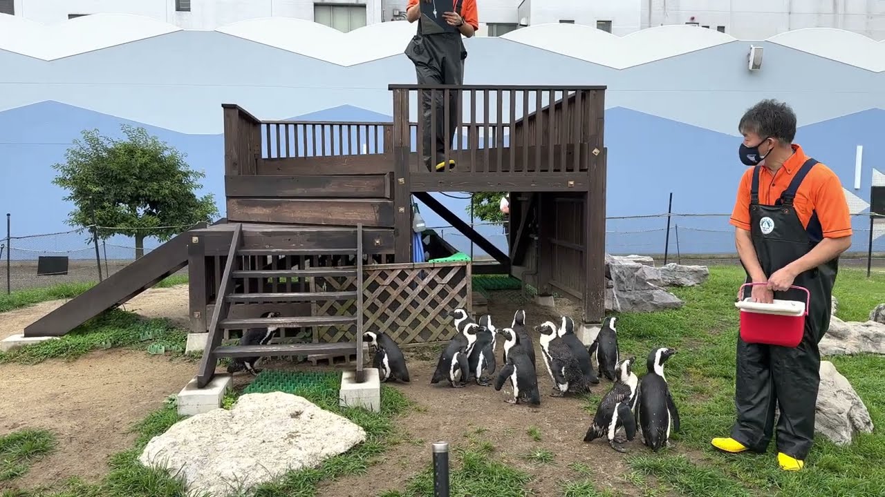 記念メダル JETTY(名古屋港水族館) ペンギン 愛知県【JETTY