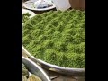 يالهوي علي حلويات الأتراك 