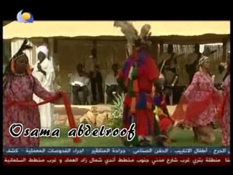 عبدالقـادر ســالم ـ البريق الضوا