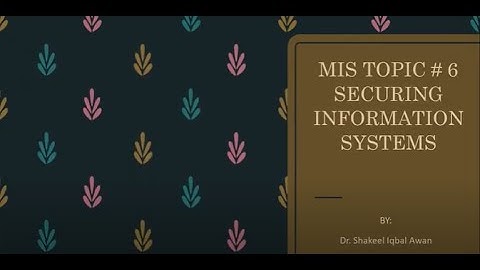 MIS - Securing Information Systems