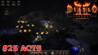 【ディアブロ2 リザレクテッド】25 ACT5 プレイ動画 【DIABLO II RESURRECTED】