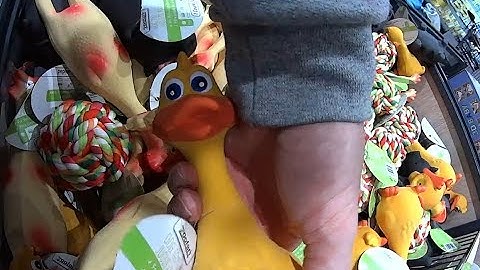 Lidl Surprises December 2018