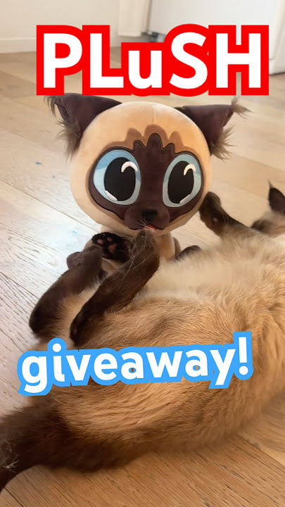 GIVEAWAY and it's EASY! Visit the link in bio to keep track of the @Youtooz pre-order! And win!!!