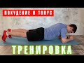 ТРЕНИРОВКА ДЛЯ ПОДДЕРЖАНИЯ ТОНУСА / ЭФФЕКТИВНАЯ ТРЕНИРОВКА В ДОМАШНИХ УСЛОВИЯХ / КАК БЫСТРО ПОХУДЕТЬ