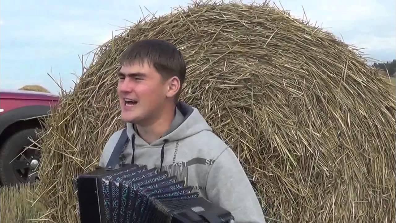 Русский веселый клип. Видео спать гармошка не дает. Хорочек.