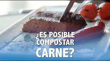 ¿Se puede poner carne cocida en el compost?