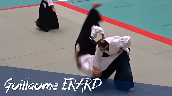 Dynamic Aikido of Guillaume ERARD - 59th All Japan...