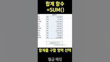 EXCEL 합계 구하기 (엑셀 기초 함수) #excel #shorts