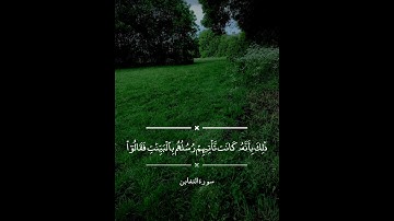 صلاح الباجي - سورة التغابن/ Salah Al-Baji - Surah Al-Taghaabun