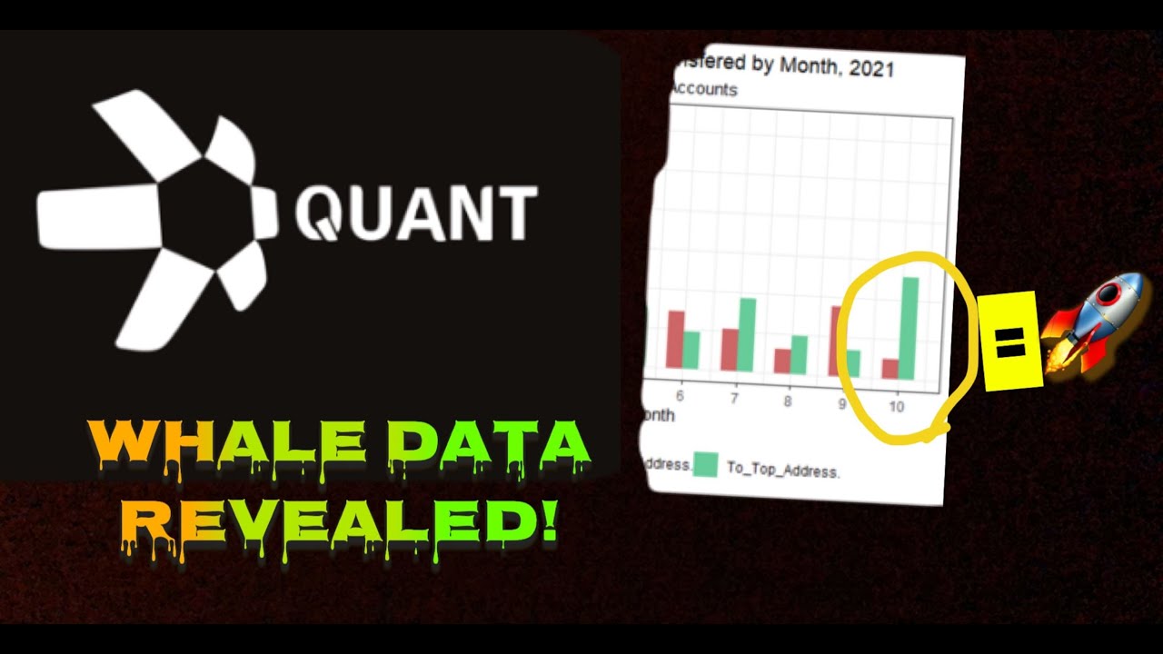 Quant Network ($QNT) - Whale Wallet Data Analysis Using On Chain Data