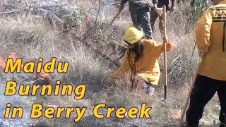 Good Fire At The Maidu TREX