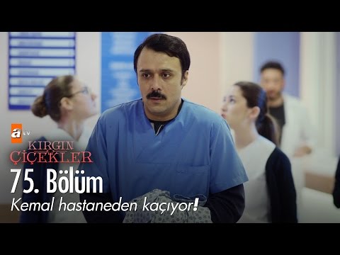 Kemal hastaneden kaçıyor! - Kırgın Çiçekler 75. Bölüm - atv