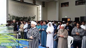 ماتيسر من سورة النجم - القارئ: محمد ربيع الحافي