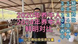 2020年和2024年的养牛人，鲜明对比，太真实了