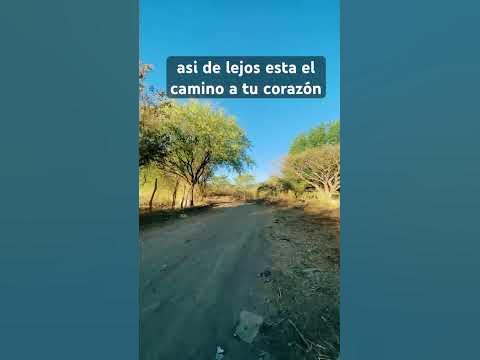 Así de lejos, está el camino a tu corazón - YouTube