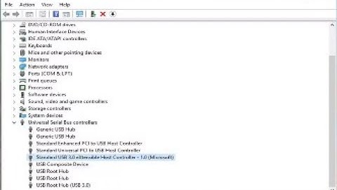 Windows External Hard Drive Not Showing Up – USB Drive Not Recognized on Windows PC