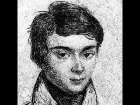 Video: Evariste Galois - A Genius Who Solved A Problem Over Which Puzzled Over 300 Years - Alternative View