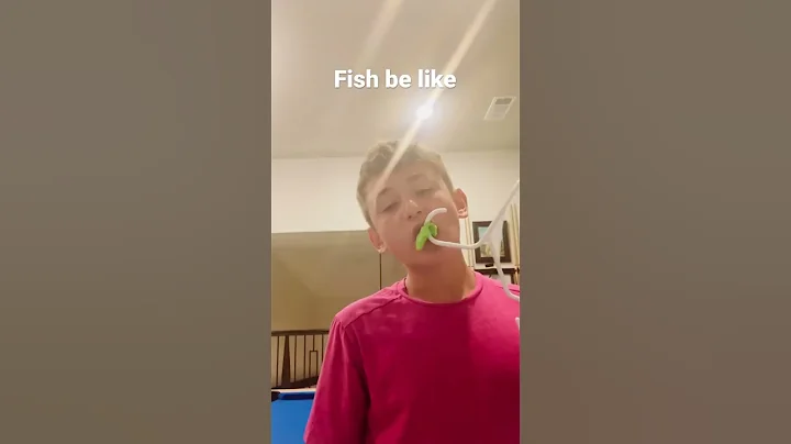 Fish be like